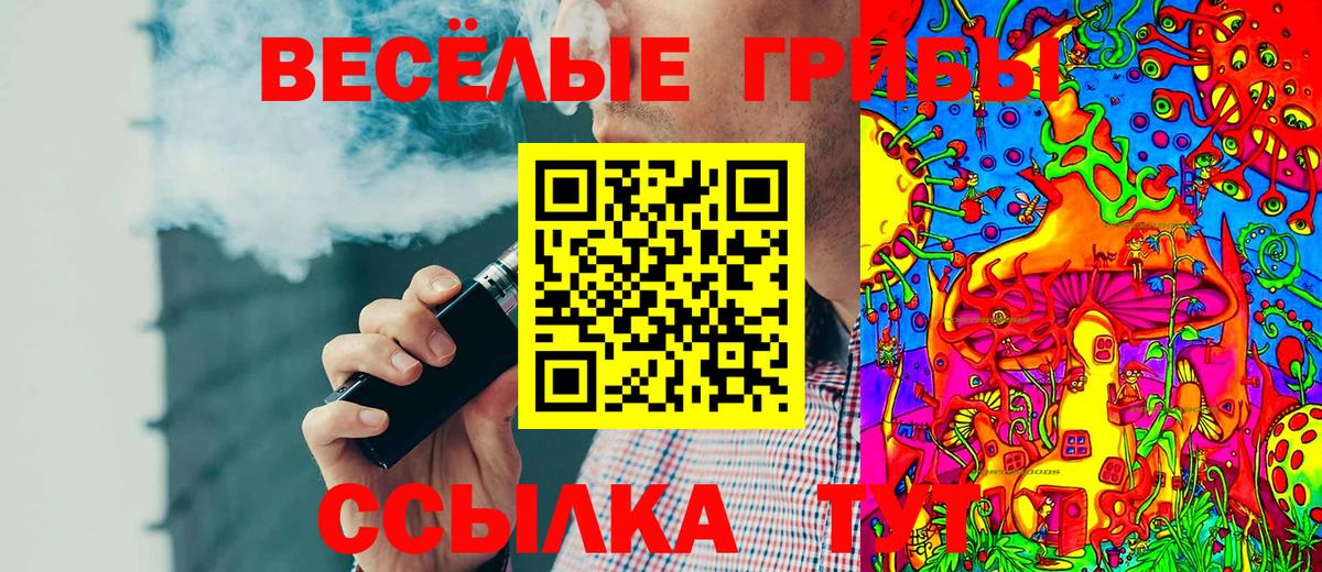 Галлюциногенные грибы мицелий  продажа наркотиков  Борзя  Вход с VPN 