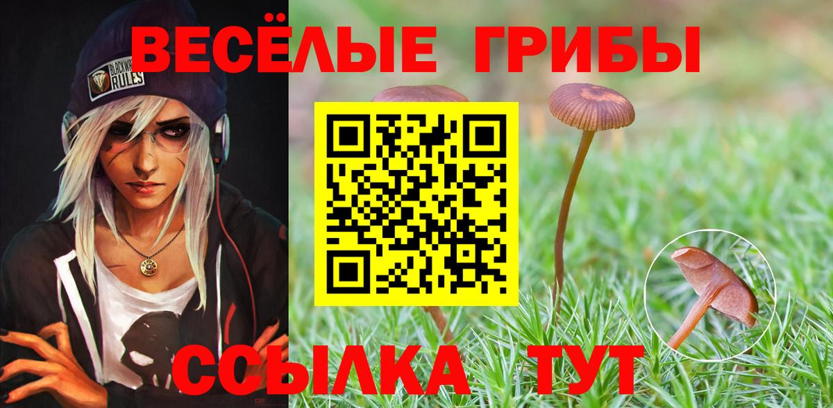 Псилоцибиновые грибы Magic Shrooms Борзя